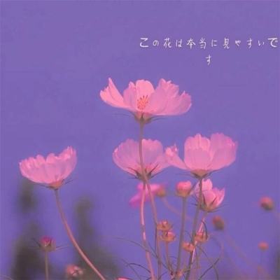 美高梅电子娱乐游戏app