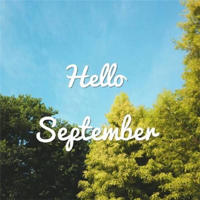 亚博BOB体育下载